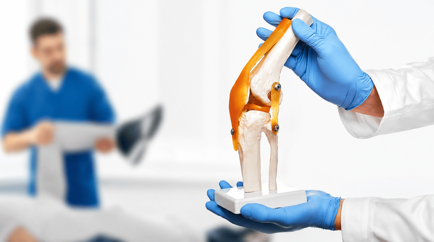 Orthopedic doctor holding a knee joint model during a consultation for High Tibial Osteotomy (HTO) and knee osteoarthritis treatment.